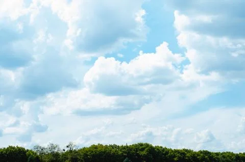 Blue sky with voluminous clouds of summer day and top of trees Stock Photos