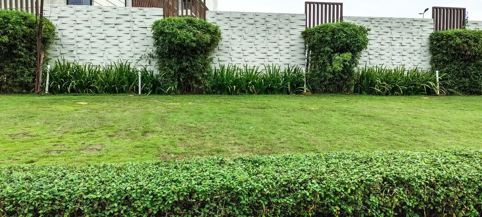 Blue sky wall grassy plot landscape landscaped green lawn plantings gardens Foto stock