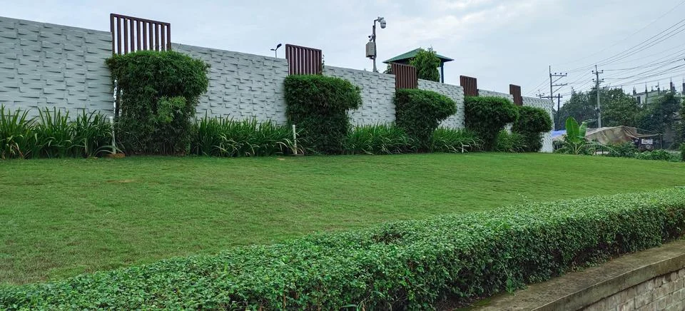 Blue sky wall grassy plot landscape landscaped green lawn plantings gardens Foto stock