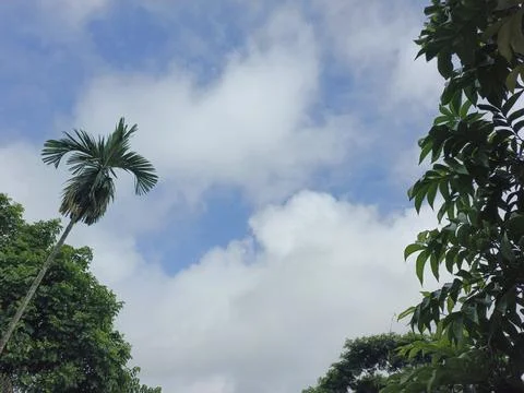 The blue sky with white clouds  (5) Stock Photos