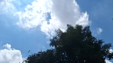 Blue Sky with White Clouds Above Green Trees on Sunny Day Stock Footage 319228172