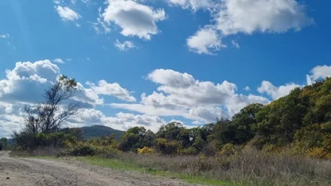 Blue sky with white clouds above forest hills on sunny day Stock Footage 320044885