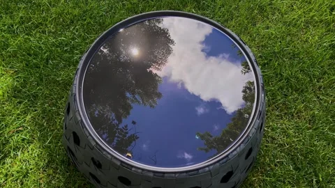 Blue sky with white clouds and sun among tree branches reflecting on water Stock Footage 276557467