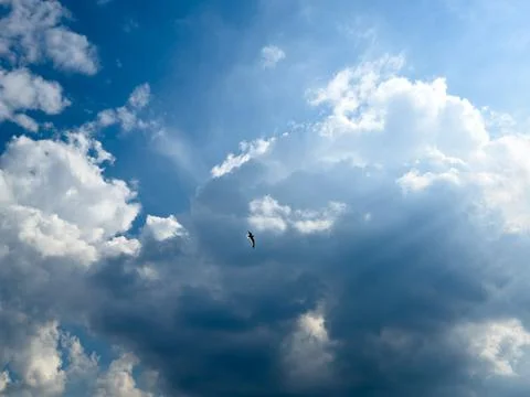 Blue sky, white clouds, and seagulls Stock Photos