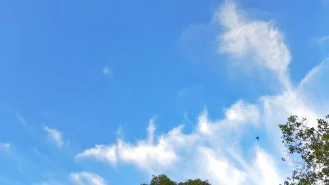 Blue sky with white clouds and green trees in the park background. Stock Photos