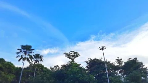 Blue sky with white clouds and green trees in the park background. Stock-Fotos