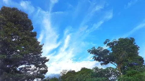 Blue sky with white clouds and green trees in the park background. Stock Photos