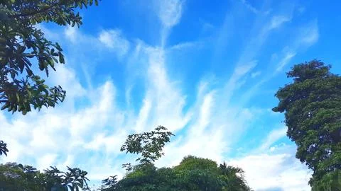 Blue sky with white clouds and green trees in the park background. Stock-Fotos