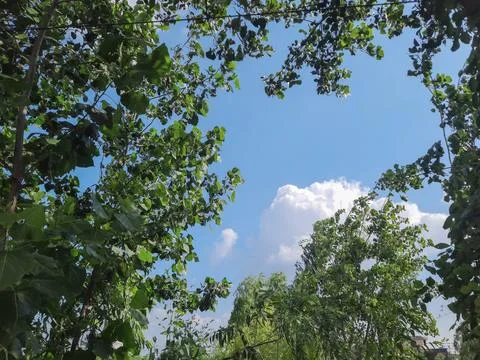 Blue Sky with White Clouds and Fresh Natural Background. Stock Photos