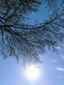Blue sky, white clouds, background weather nature air atmosphere Stock Photos