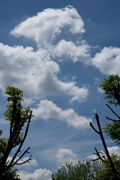 Blue sky with white clouds background Fotos Stock