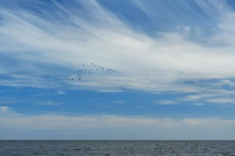 Blue sky with white clouds with the Baltic sea Stock Photos