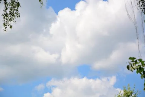 Blue sky with white clouds between the trees. Stock Photos