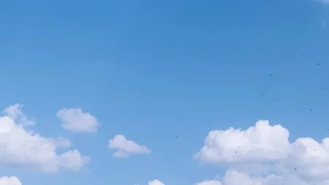 Blue sky white clouds the day, sky Timelapse, clouds Timelapse, sky Stock Footage 169011160