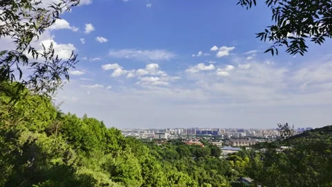 Blue Sky, White Clouds, Distant City and Swaying Trees Stock Footage 318541604