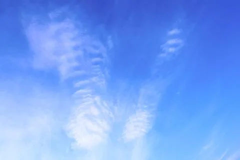 Blue sky with white clouds that form the face of a tiger. Concept landscape,  Stock Photos