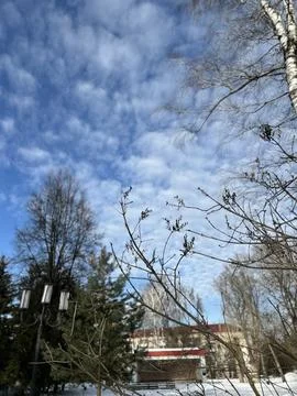 Blue sky with white clouds, leafless tree crowns in the park in the first d.. Fotos de archivo
