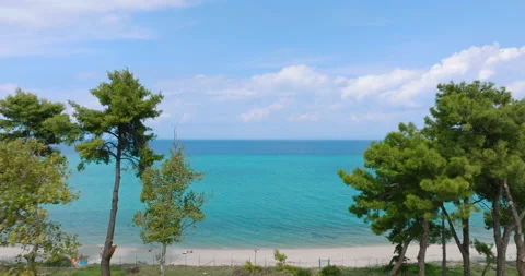 Blue sky with white clouds moving panorama through green branches of trees Stock-Footage 238529378