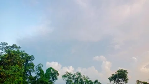 Blue Sky with White Clouds Moving Over Green Trees Stock Footage 318814563
