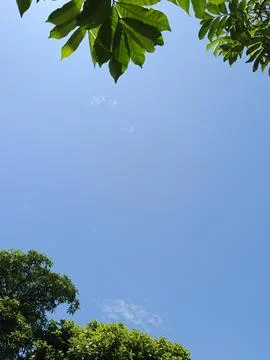 Blue Sky With White Clouds Nature Sky Landscape Green Trees Under Blue Sky  Stock Photos