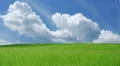 Blue sky with white clouds over green grass HD Footage