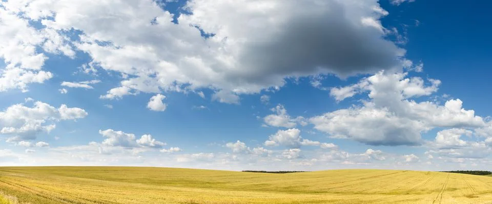 Blue Sky With White Clouds Over Yellow Field 01 Stock Photos