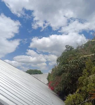 Blue Sky with White Clouds over Metal Roof and Green Trees Landscape Fotos Stock