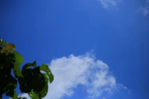 Blue sky with white clouds. Stock Photos