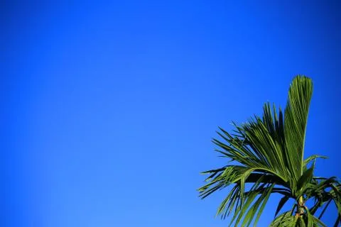 Blue sky with white clouds. Stock Photos