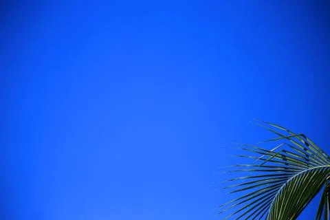 Blue sky with white clouds. Stock Photos