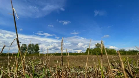 Blue sky white clouds. Puffy fluffy white clouds. Cumulus cloud timelapse. Stock Footage 219060452