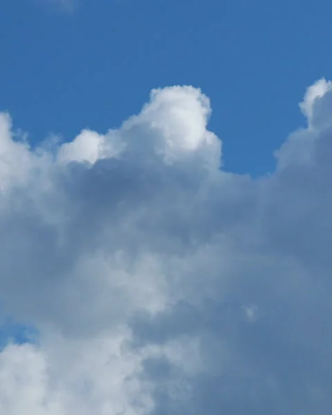 Blue sky white clouds. Puffy fluffy white clouds. Video stock 277634171