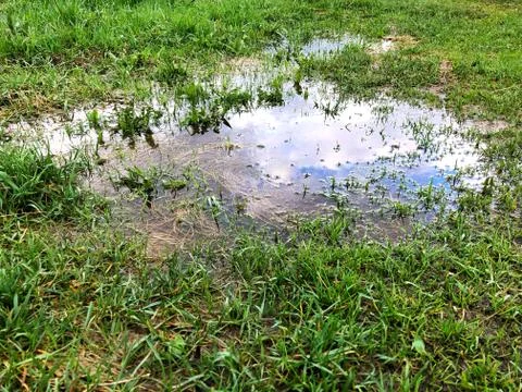 Blue sky with white clouds reflected in a puddle on green grass. Foto stock