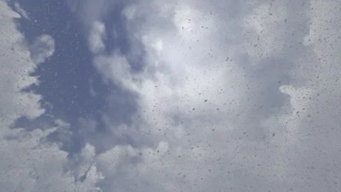 Blue Sky White Clouds Shifting Animation 動画素材 339649927