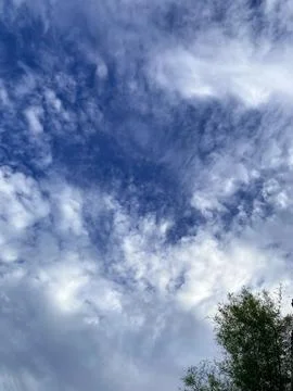 Blue sky with white clouds, with slightly silhouetted leaves Stock Photos