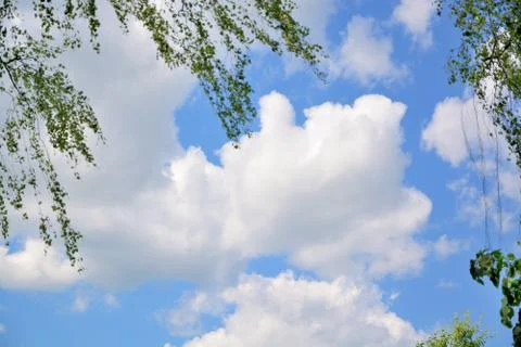 Blue sky with white clouds under the tree branches. Stock Photos