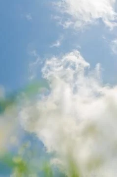 Blue sky with white clouds When viewed through green grass Stock Photos