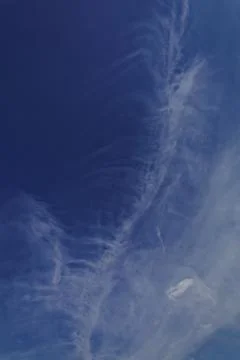 Blue sky with white cumulus clouds. Stock Photos