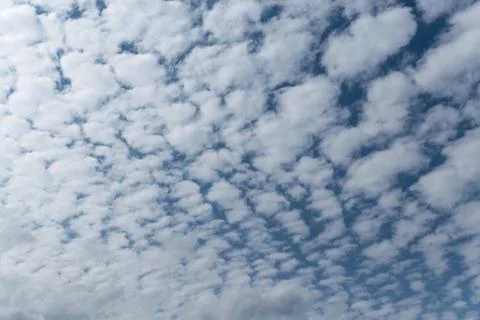 In the blue sky white Cumulus clouds arranged in a grid or pattern. Stock Photos