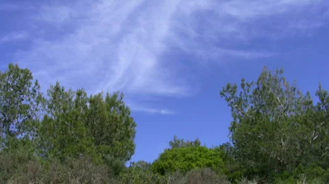 Blue sky with white feather clouds Stock Footage 751147