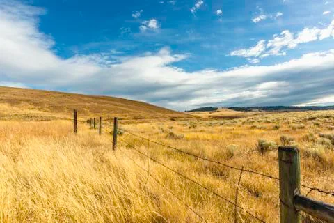 Blue sky with white fluffy clouds stretched over the field on the hills with Stock Photos