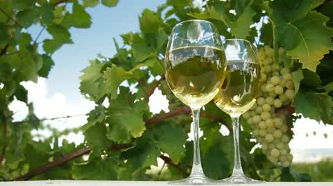 Blue Sky in White Wine Glasses Stock Footage