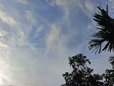 Blue Sky With Wispy Clouds Above Tropical Trees Blue Sky With Wispy Clouds  写真素材