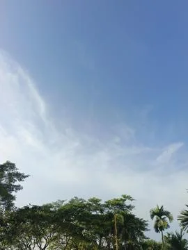 Blue Sky With Wispy Clouds Above Tropical Trees Blue Sky With Wispy Clouds  Photos