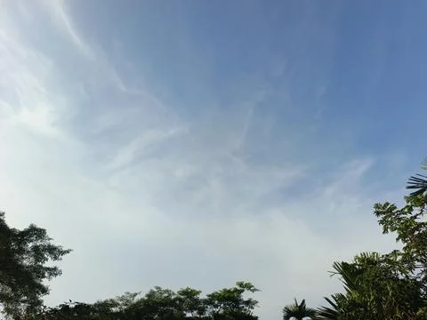 Blue Sky With Wispy Clouds Above Tropical Trees Blue Sky With Wispy Clouds  Stock Photos