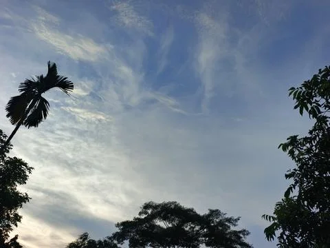 Blue Sky With Wispy Clouds Above Tropical Trees Blue Sky With Wispy Clouds  Stock Photos