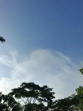 Blue Sky With Wispy Clouds Above Tropical Trees Blue Sky With Wispy Clouds  Stock Photos