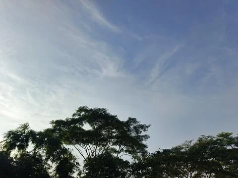 Blue Sky With Wispy Clouds Above Tropical Trees Blue Sky With Wispy Clouds  写真素材
