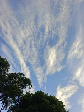 Blue Sky With Wispy Clouds Above Tropical Trees Blue Sky With Wispy Clouds  Foto stock