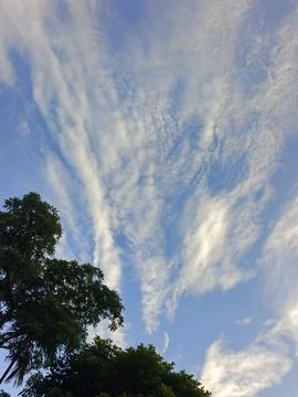 Blue Sky With Wispy Clouds Above Tropical Trees Blue Sky With Wispy Clouds  Stock Photos